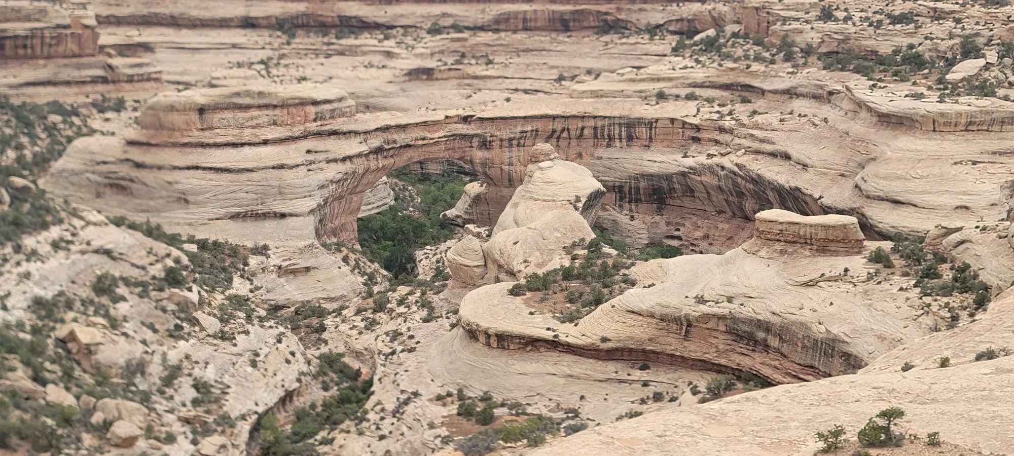 🏞️ 긴 곶 코 공원 (나가사키바나 코엔) 이미지 10
